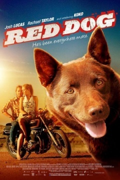 红犬历险记是什么犬