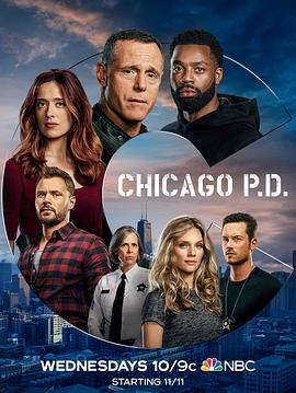 芝加哥警署 第八季 下载