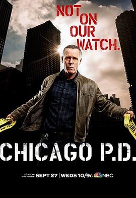 芝加哥警署第五季在线观看