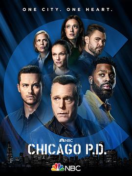 芝加哥警署第八季第十集