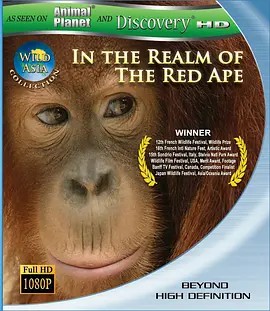 狂野亚洲：赤猿的领地