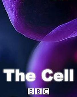 细胞因子